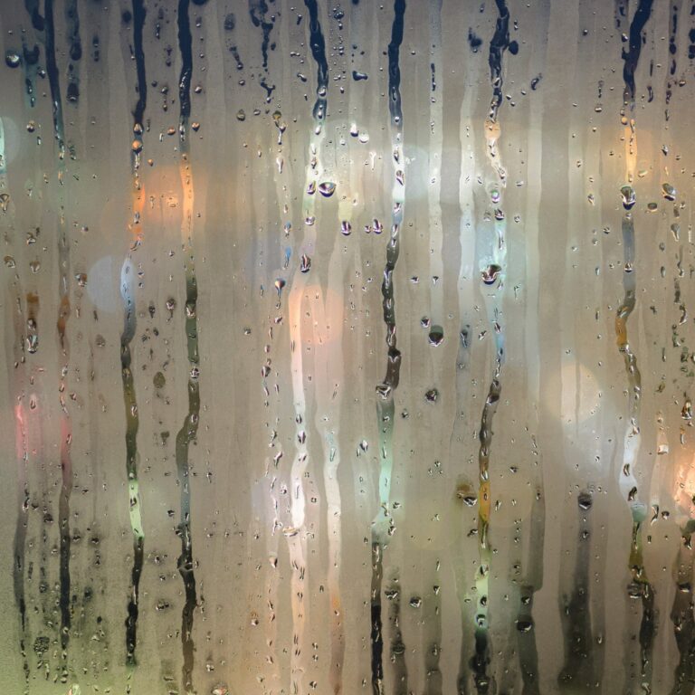 moisture-926141_1920