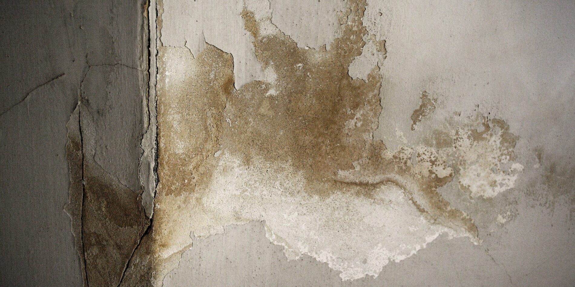 umidità di risalita