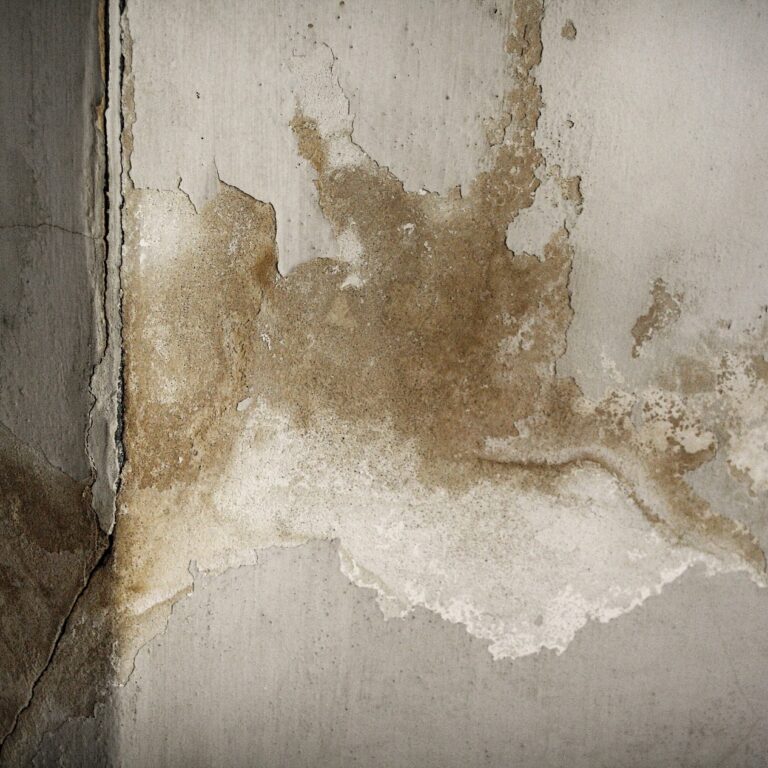 umidità di risalita umidità di risalita